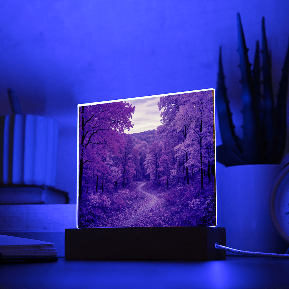 The Amber Trail LED Acrylic