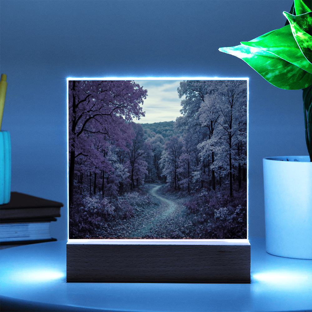 The Amber Trail LED Acrylic