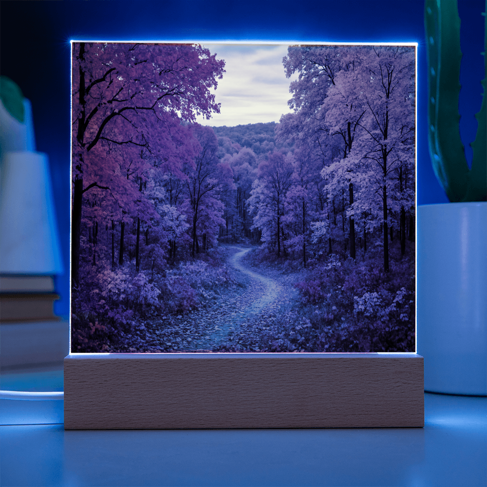 The Amber Trail LED Acrylic