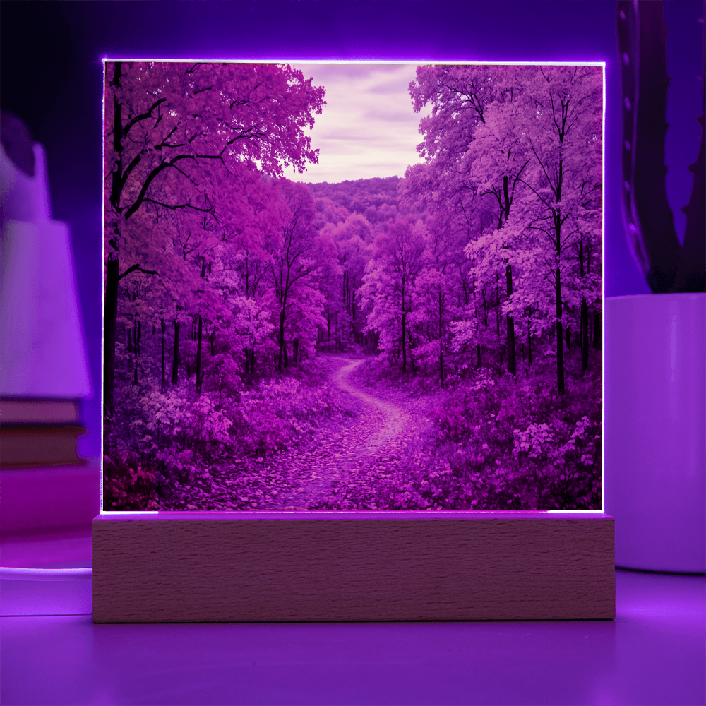 The Amber Trail LED Acrylic