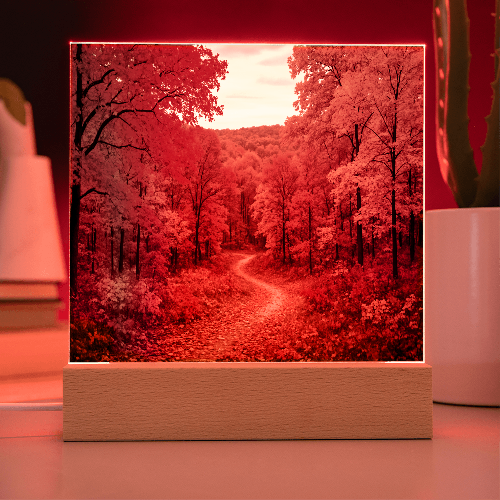 The Amber Trail LED Acrylic