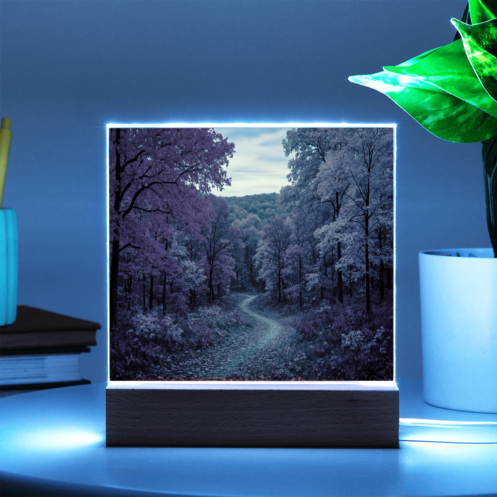 The Amber Trail LED Acrylic