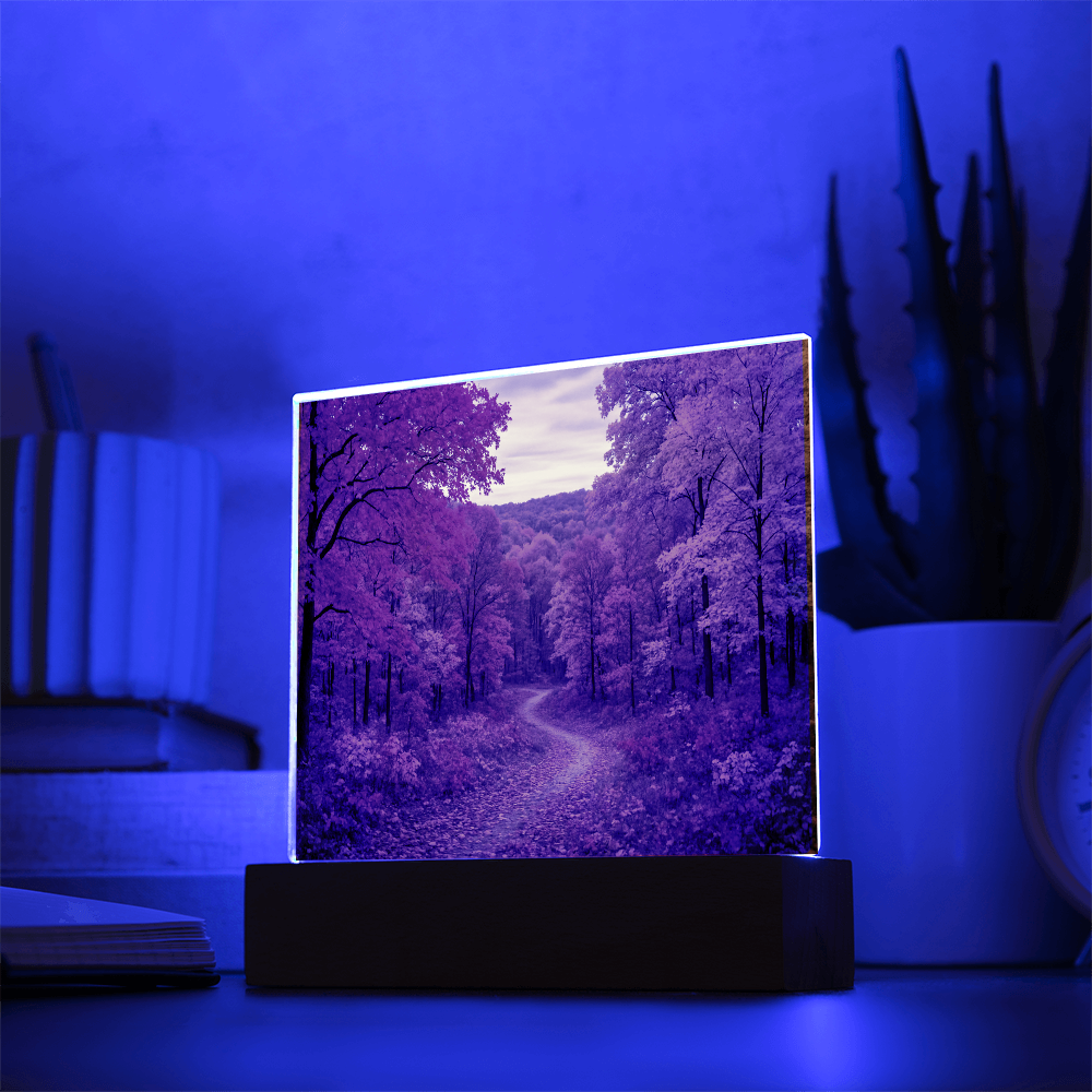 The Amber Trail LED Acrylic