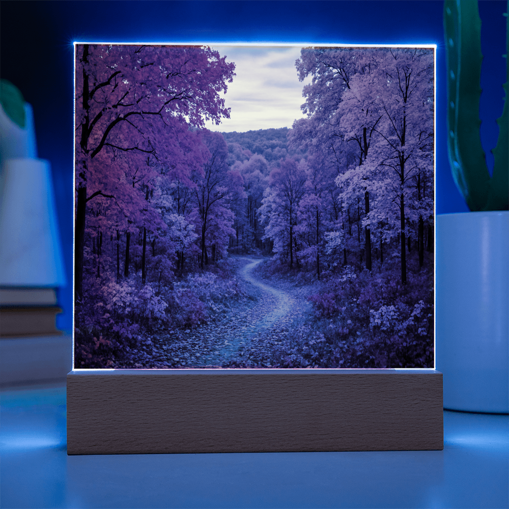 The Amber Trail LED Acrylic